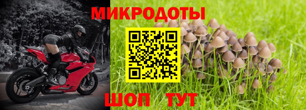 Псилоцибиновые грибы мицелий  Псилоцибиновые грибы мицелий  цена   Калач-на-Дону  Вход с VPN 